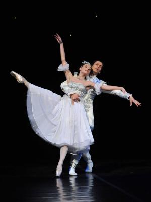 Vladim�ra Podhorn� (Popelka), Vladimir Gon�arov (Princ)