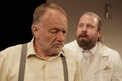 Zdrav� nemocn� - St�edo�esk� divadlo Kladno