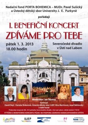 Benefi�n� koncert zp�v�me pro tebe 2013