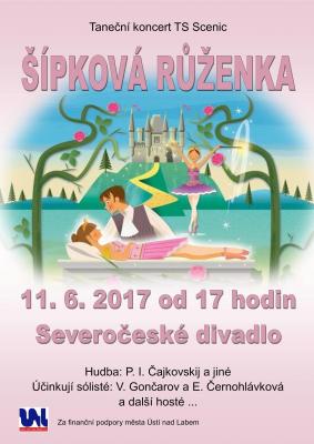 TS SCENIC - ��pkov� r��enka