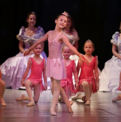 TS Scenic - ��pkov� R��enka