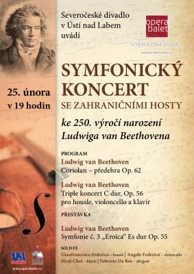 Symfonick� koncert 2020