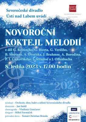 Novoro�n� koncert plak�t