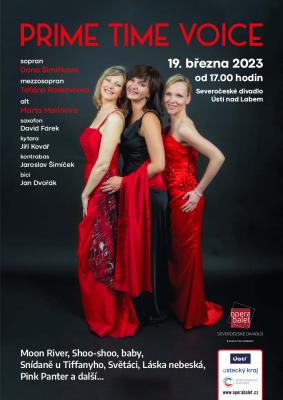 plak�t prime type voice