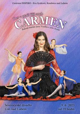 Plak�t - ples v pta�� ��i