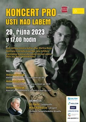 Koncert pro �st� - plak�t